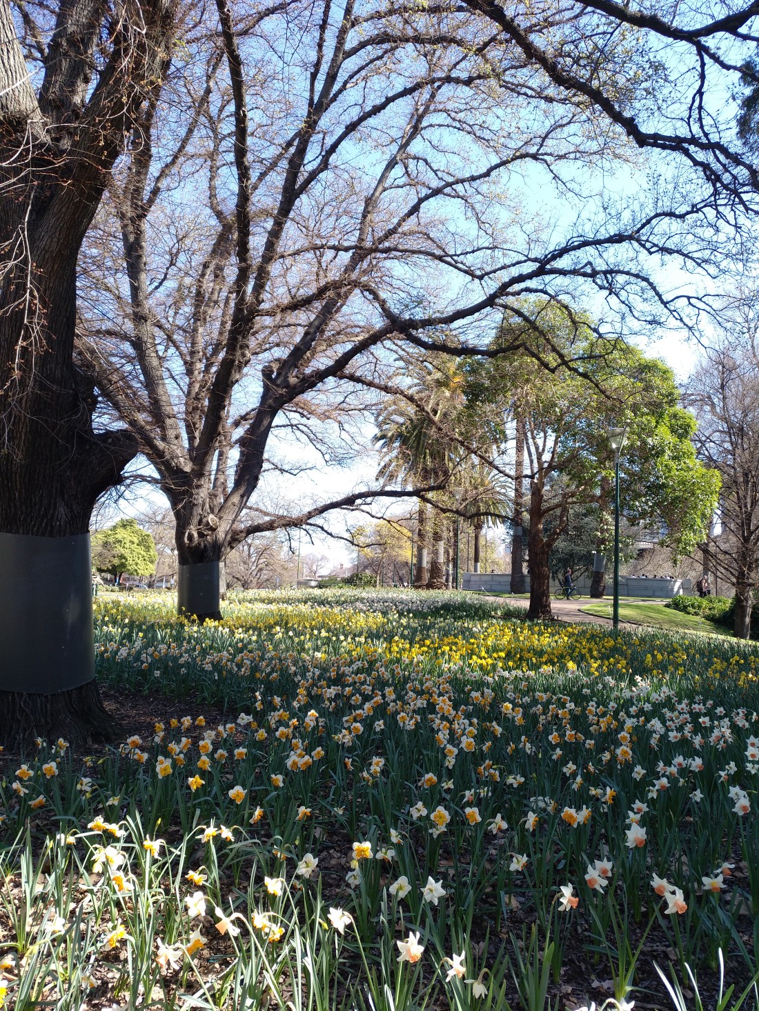 IMG_20180911_133750_119