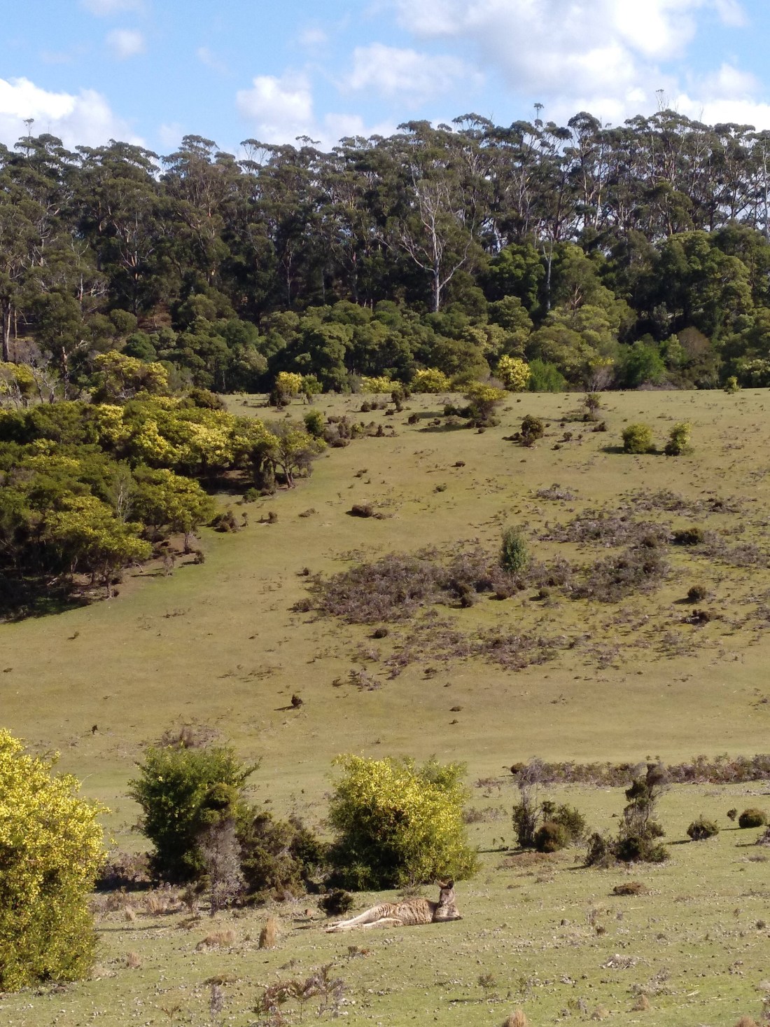 IMG_20180914_103540_607