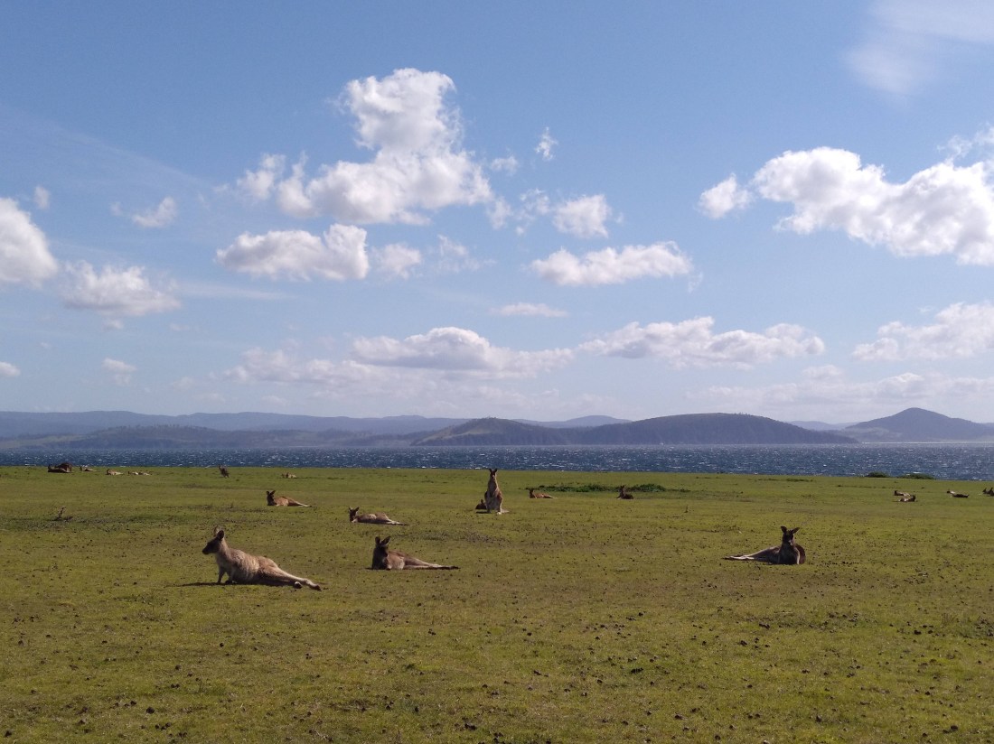 IMG_20180914_113345_273