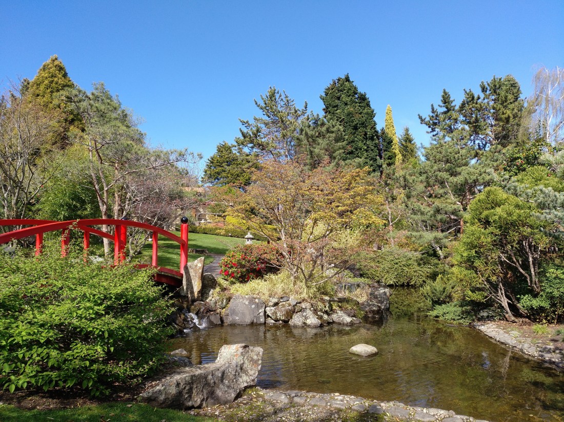 IMG_20180917_105229_327